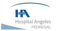Hospital Angeles Del Pedregal SA de Cv