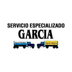 Servicio Especializado García