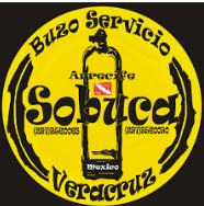 Buzo Servicio Sobuca