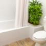 Bathroom in the room