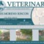 Servicio Veterinario