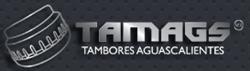 Tamags Tambores Aguascalientes