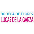 Bodega De Flores Lucas De La Garza
