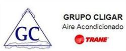 Grupo Cligar