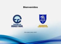 Seguridad Corporativa