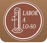Laboratorio de Analisis Clinicos Lo-so