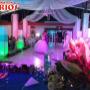 bodas