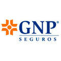 Gnp
