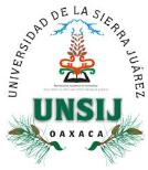 Universidad de la Sierra Juarez