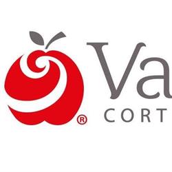Cortinas Y Tapices Vanessa