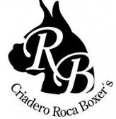 Clinica Veterinaria Roca