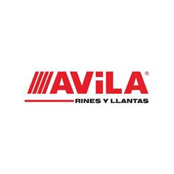 Rines y Llantas Avila SA de Cv
