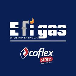 Efigas
