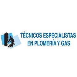 Técnicos Especialistas En Plomería Y Gas