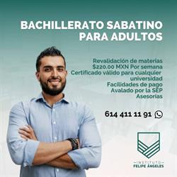 Instituto Felipe Angeles