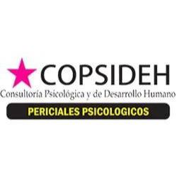 Consultoría Psicológica Y De Desarrollo Humano Copsideh