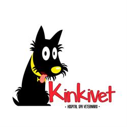 Kinkivet