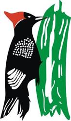 Carpinteria, Ebanisteria y Tapiceria Carrera