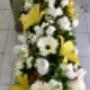 Subido por visitante en 16/07/2017