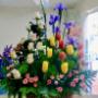 Subido por visitante en 16/07/2017
