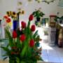 Subido por visitante en 16/07/2017