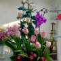 Subido por visitante en 16/07/2017