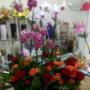 Subido por visitante en 16/07/2017