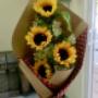 Subido por visitante en 16/07/2017