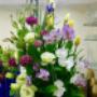 Subido por visitante en 16/07/2017