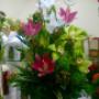Subido por visitante en 16/07/2017