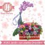 Subido por visitante en 18/09/2018 - florerias en guadalajara, a domicilio, floreria guadalajara, florerias en zapopan, florerias en tonala, florerias en tlaquepaque, florerias en tlajomulco, florerias en Tonala, arreglos florales para funeral, coronas funebres guadalajara, coronas funebres, arreglos florales en guadalajara, envio de flores a domicilio, envio de flores guadalajara, envia flores guadalajara, florerias en tlaquepaque, ramos de flores, ramos de rosas, rosas, ramos para novias, arreglos para eventos, en guadalajara, a domicilio, floreria jessy, jessy floreria, jessy flores, jesi flores, jessi floreria, globos, peluches, guadalajara, jalisco, alcalde, transito, zapopan, tonala, tlaquepaque, tlajomulco, el salto, enviar flores a domicilio guadalajara, enviar globos guadalajara, enviar peluches guadalajara, flores a domicilio, coronas, cubrecajas, enviar flores en guadalajara, floreria en guadalajara, gdl, Contamos también con diseños para ocasiones como: cumpleaños, aniversarios, recién nacido, graduación, baut