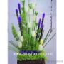 Subido por visitante en 18/09/2018 - florerias en guadalajara, a domicilio, floreria guadalajara, florerias en zapopan, florerias en tonala, florerias en tlaquepaque, florerias en tlajomulco, florerias en Tonala, arreglos florales para funeral, coronas funebres guadalajara, coronas funebres, arreglos florales en guadalajara, envio de flores a domicilio, envio de flores guadalajara, envia flores guadalajara, florerias en tlaquepaque, ramos de flores, ramos de rosas, rosas, ramos para novias, arreglos para eventos, en guadalajara, a domicilio, floreria jessy, jessy floreria, jessy flores, jesi flores, jessi floreria, globos, peluches, guadalajara, jalisco, alcalde, transito, zapopan, tonala, tlaquepaque, tlajomulco, el salto, enviar flores a domicilio guadalajara, enviar globos guadalajara, enviar peluches guadalajara, flores a domicilio, coronas, cubrecajas, enviar flores en guadalajara, floreria en guadalajara, gdl, Contamos también con diseños para ocasiones como: cumpleaños, aniversarios, recién nacido, graduación, baut