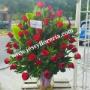 Subido por visitante en 18/09/2018 - florerias en guadalajara, a domicilio, floreria guadalajara, florerias en zapopan, florerias en tonala, florerias en tlaquepaque, florerias en tlajomulco, florerias en Tonala, arreglos florales para funeral, coronas funebres guadalajara, coronas funebres, arreglos florales en guadalajara, envio de flores a domicilio, envio de flores guadalajara, envia flores guadalajara, florerias en tlaquepaque, ramos de flores, ramos de rosas, rosas, ramos para novias, arreglos para eventos, en guadalajara, a domicilio, floreria jessy, jessy floreria, jessy flores, jesi flores, jessi floreria, globos, peluches, guadalajara, jalisco, alcalde, transito, zapopan, tonala, tlaquepaque, tlajomulco, el salto, enviar flores a domicilio guadalajara, enviar globos guadalajara, enviar peluches guadalajara, flores a domicilio, coronas, cubrecajas, enviar flores en guadalajara, floreria en guadalajara, gdl, Contamos también con diseños para ocasiones como: cumpleaños, aniversarios, recién nacido, graduación, baut