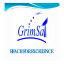Grimsat Presentacion