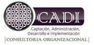 Cadi Consultoria