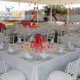 Sillas Tiffany