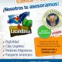 Subido por visitante en 07/10/2016