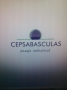 Comercializadora y Equipo de Pesaje S.a de C.v
