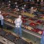 agroindustrial