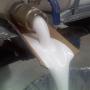 PEGAMENTO BLANCO