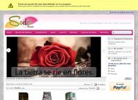 Sitio web de Floreria Sode