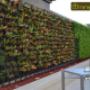 Muro verde