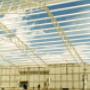 Nave Industrial KN de Oriente