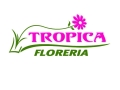 Floreria Tropica