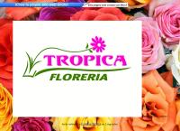 Sitio web de Floreria Tropica