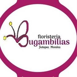 Floreria Bugambilias