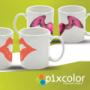 Tazas