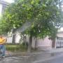 Fumigacion de casas