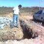 fumigacion anti termita