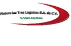 Fletera Las Tres Lagunas, S.a. de C.v.